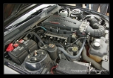 V8 Mustang Saleen